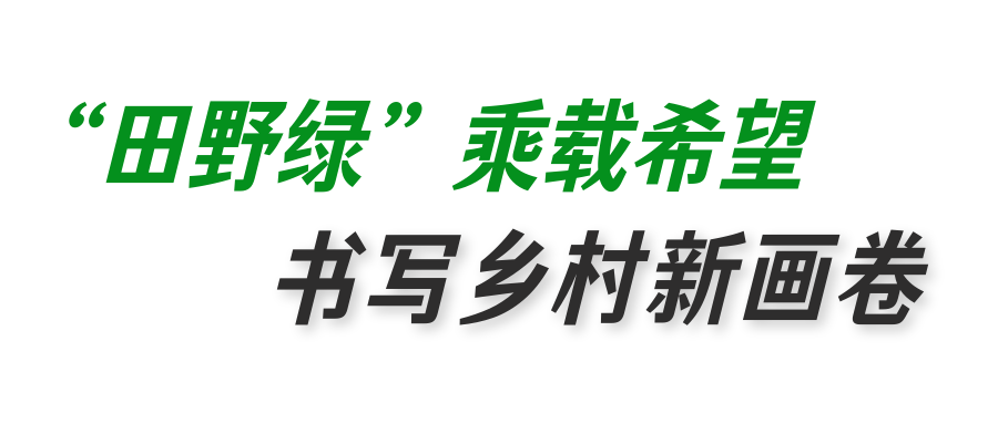 图怪兽_未命名_1.png