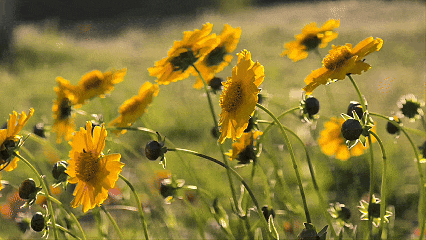 5月13日(6).gif