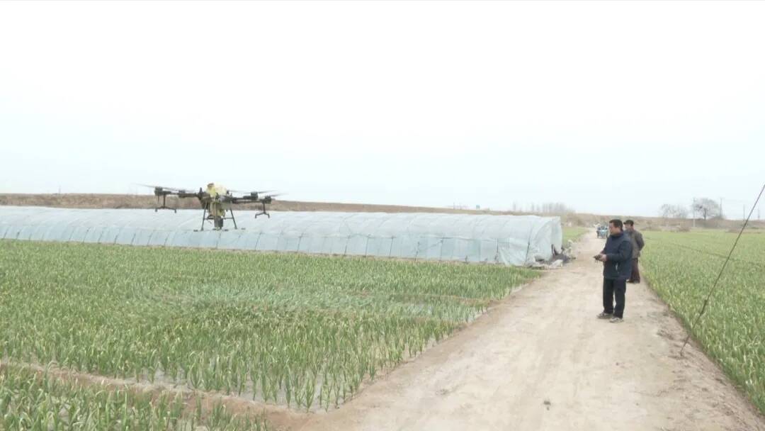 金乡县人勤地肥盼丰收春季农业生产忙