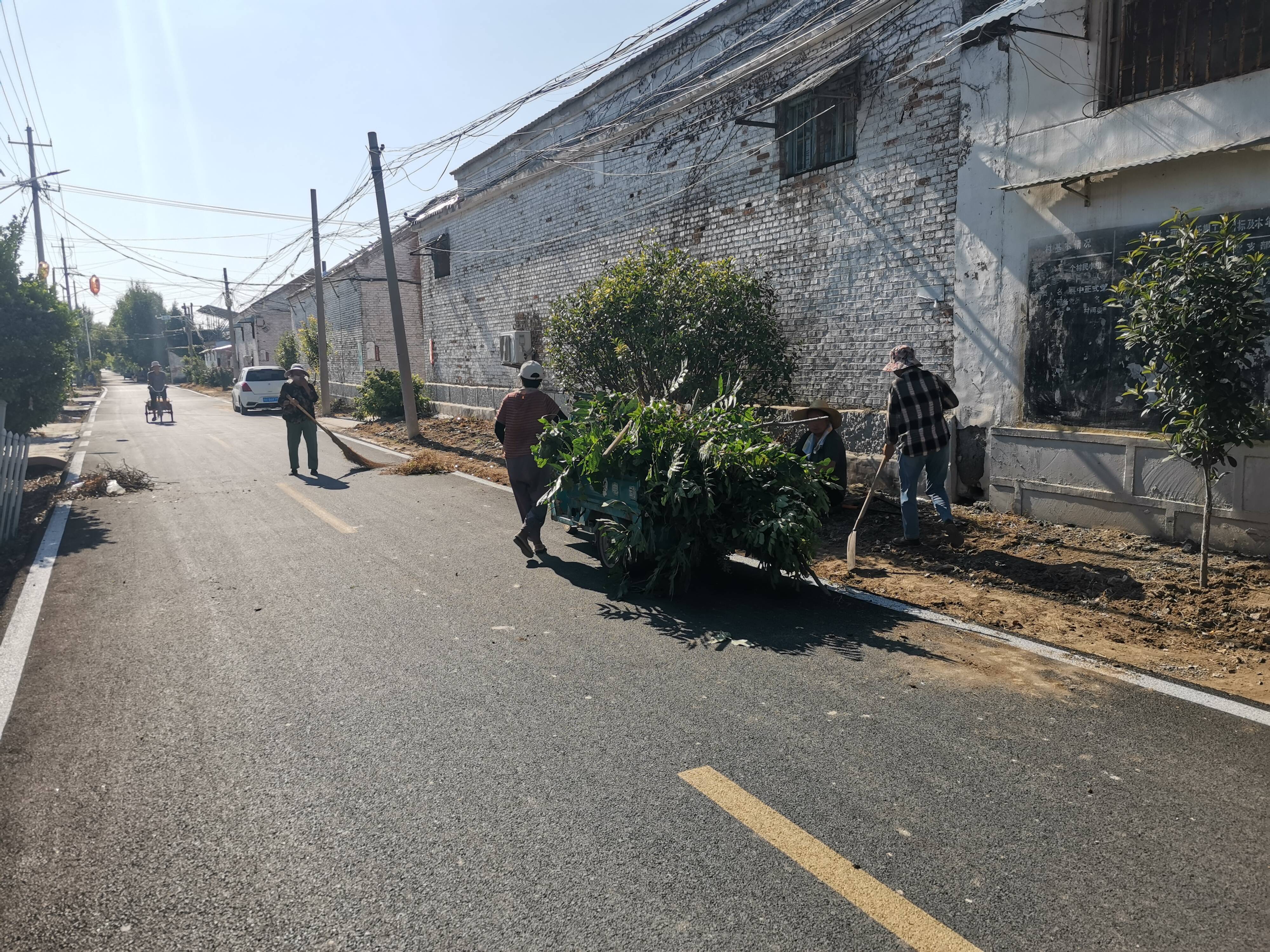 金乡县鱼山街道:人居环境整治"大提升,绘就美丽乡村"新风貌"