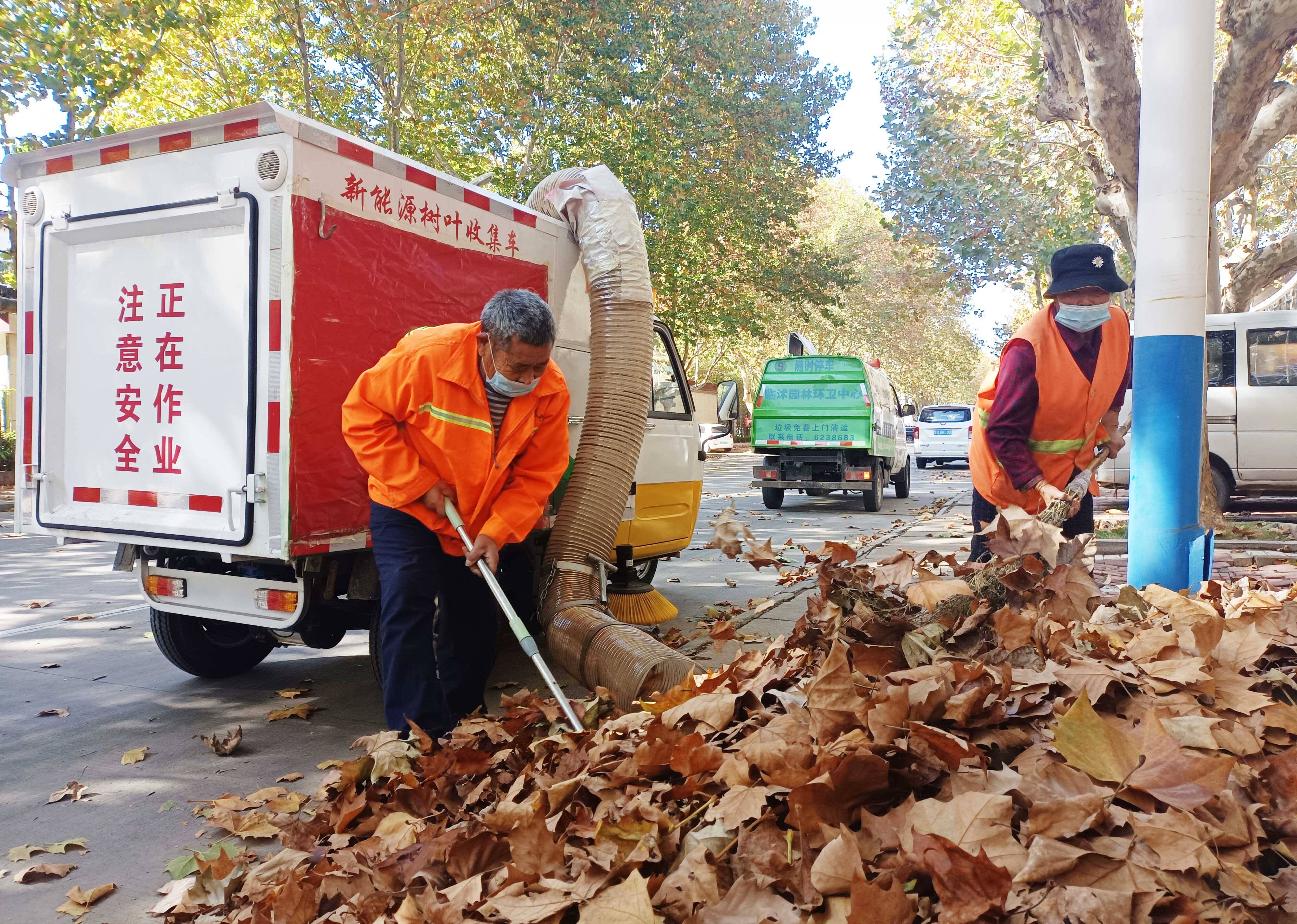 自制简易清扫落叶工具图片