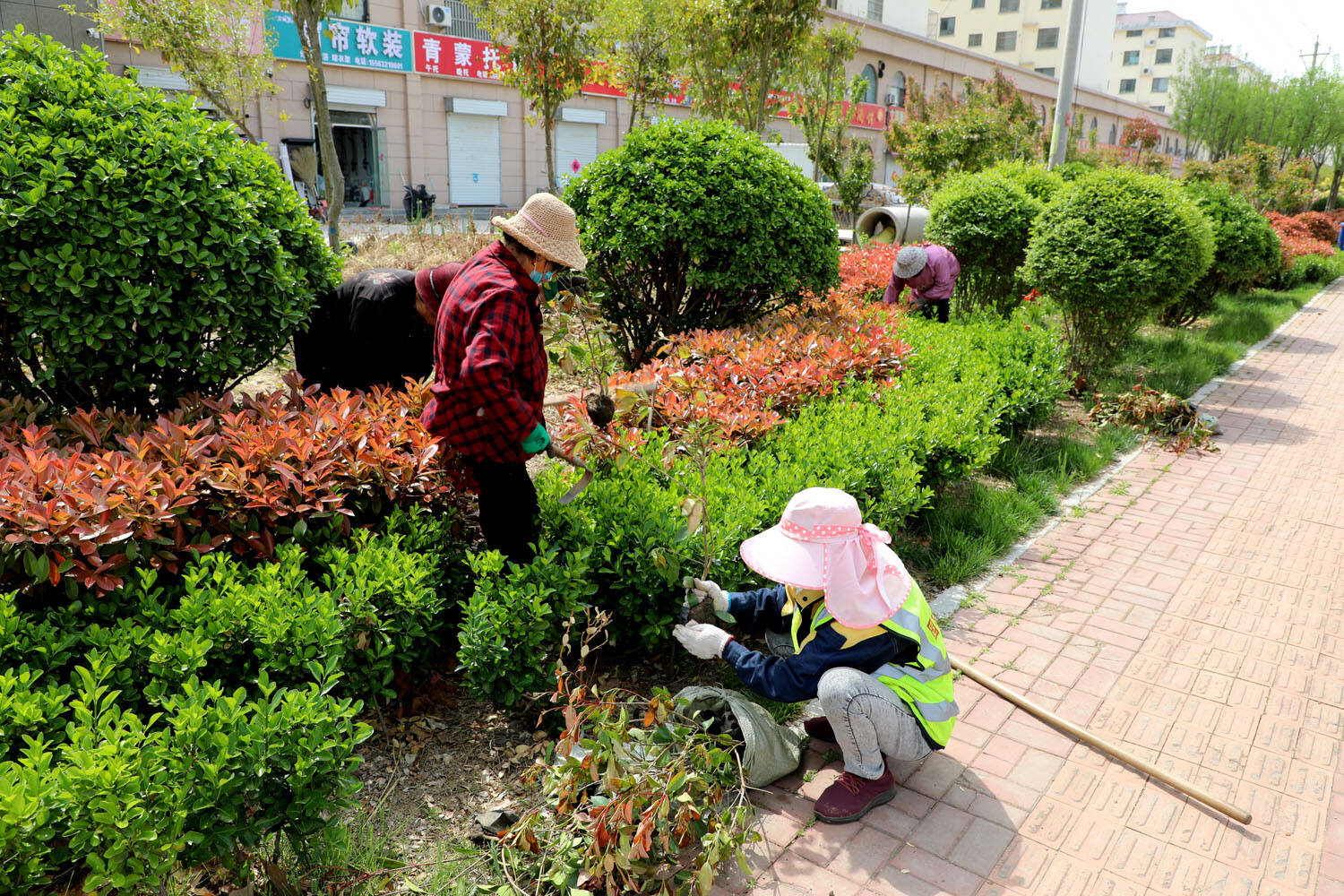 临沭县加强园林绿化养护提升城市精细化管理工作水平