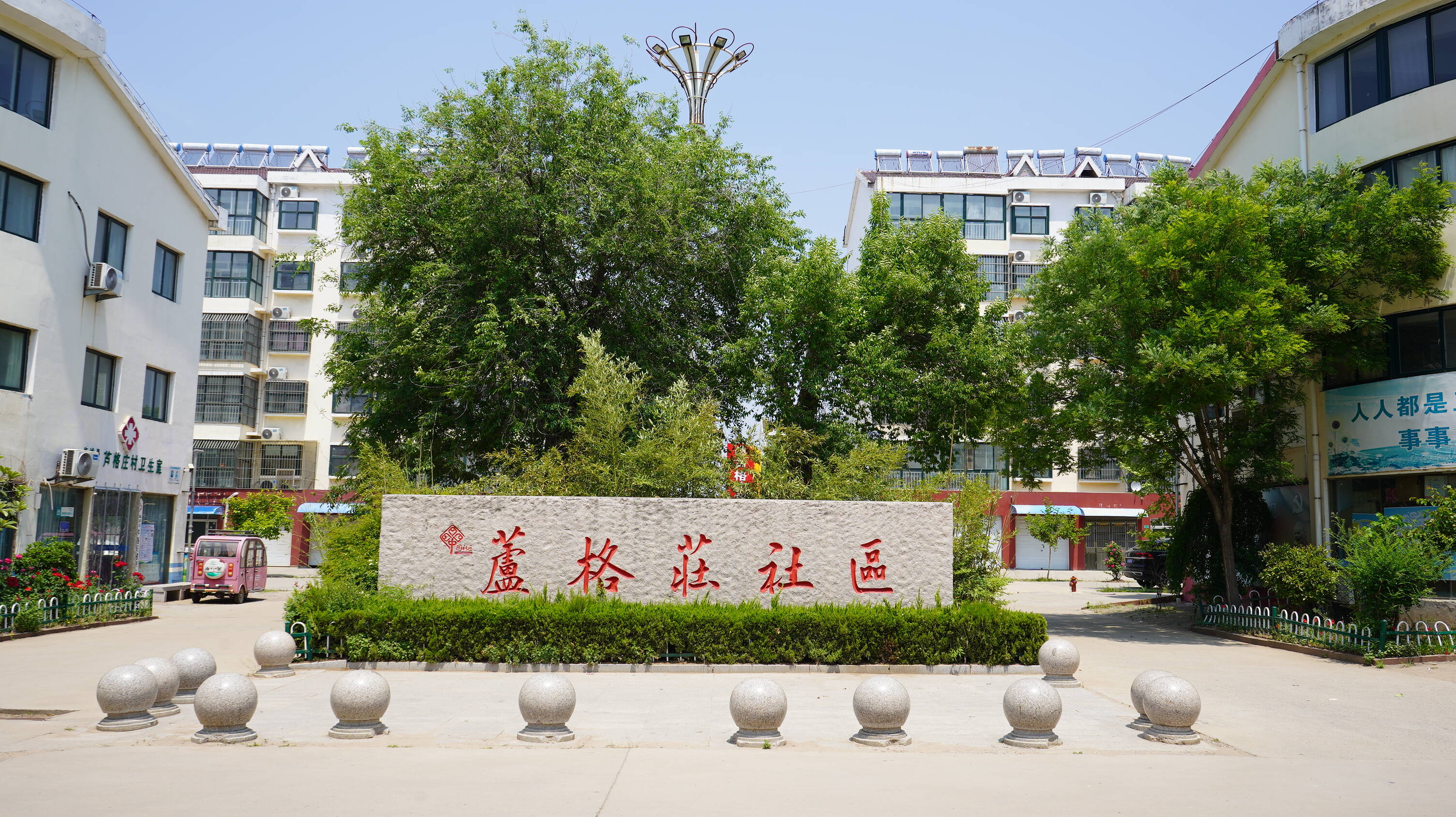 临沭县大兴镇:组织开展农村人居环境整治检查