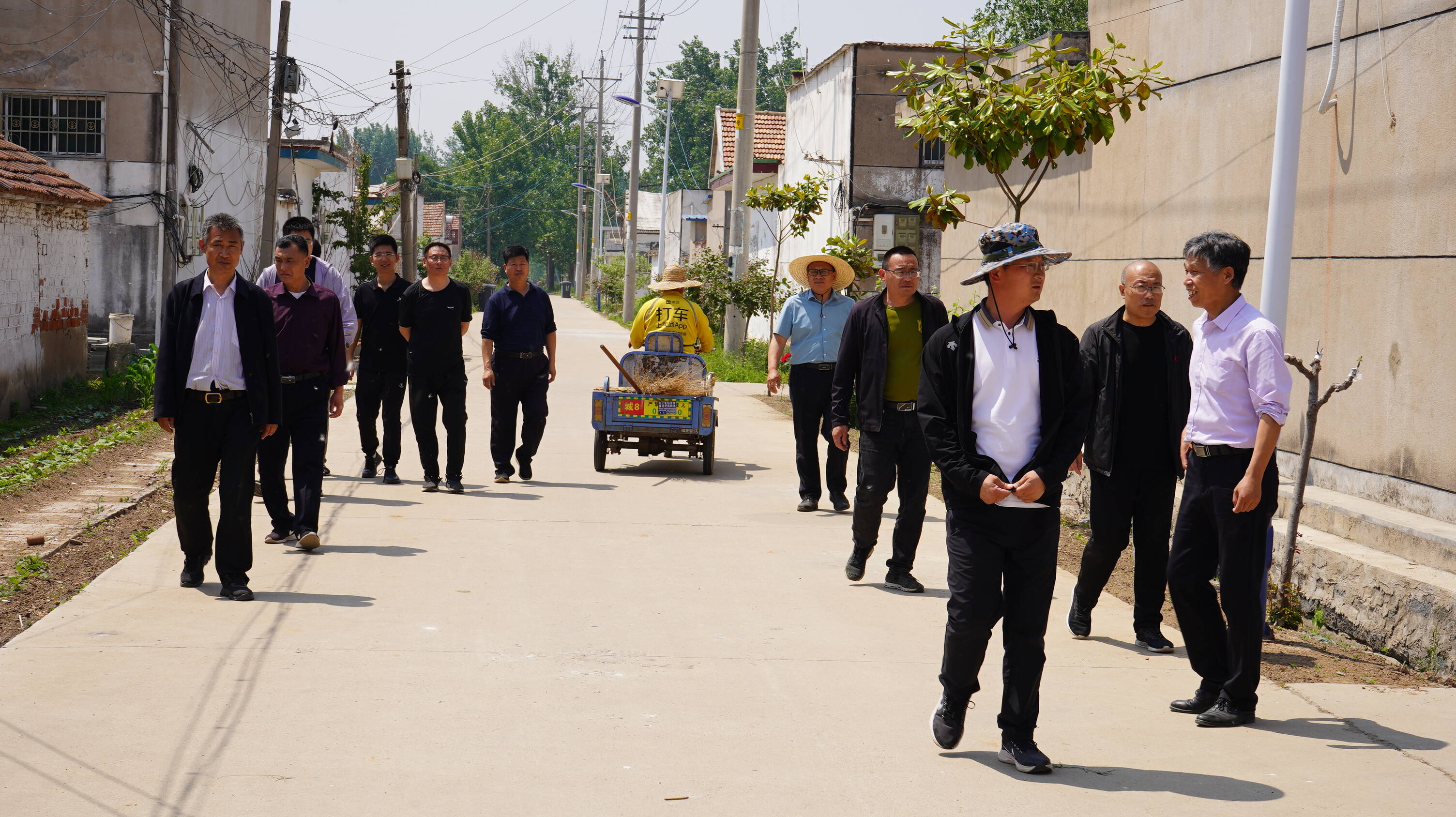 临沭县大兴镇:组织开展农村人居环境整治检查