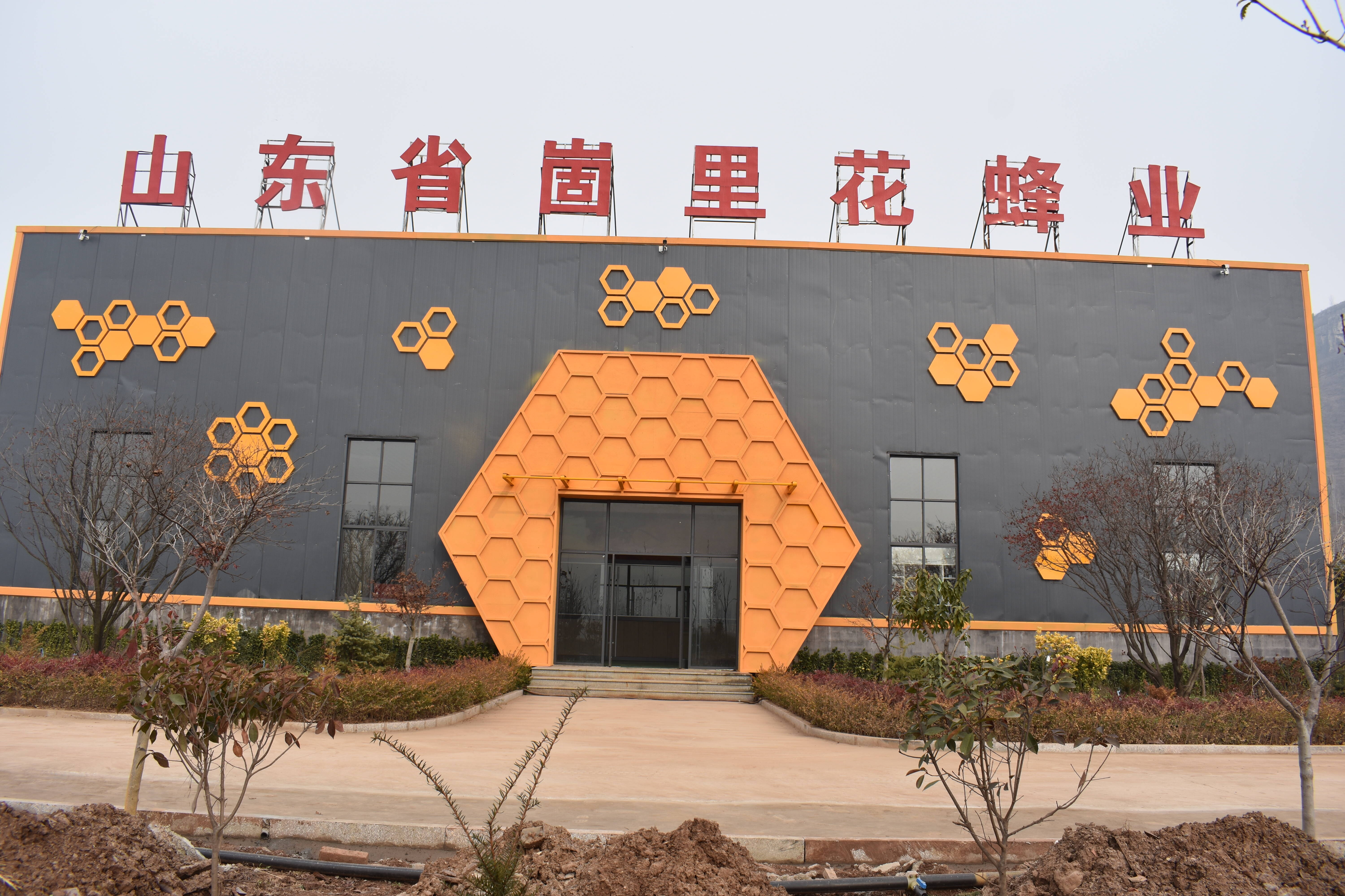 蒙阴县岱崮镇智慧养蜂为乡村振兴插上腾飞翅膀