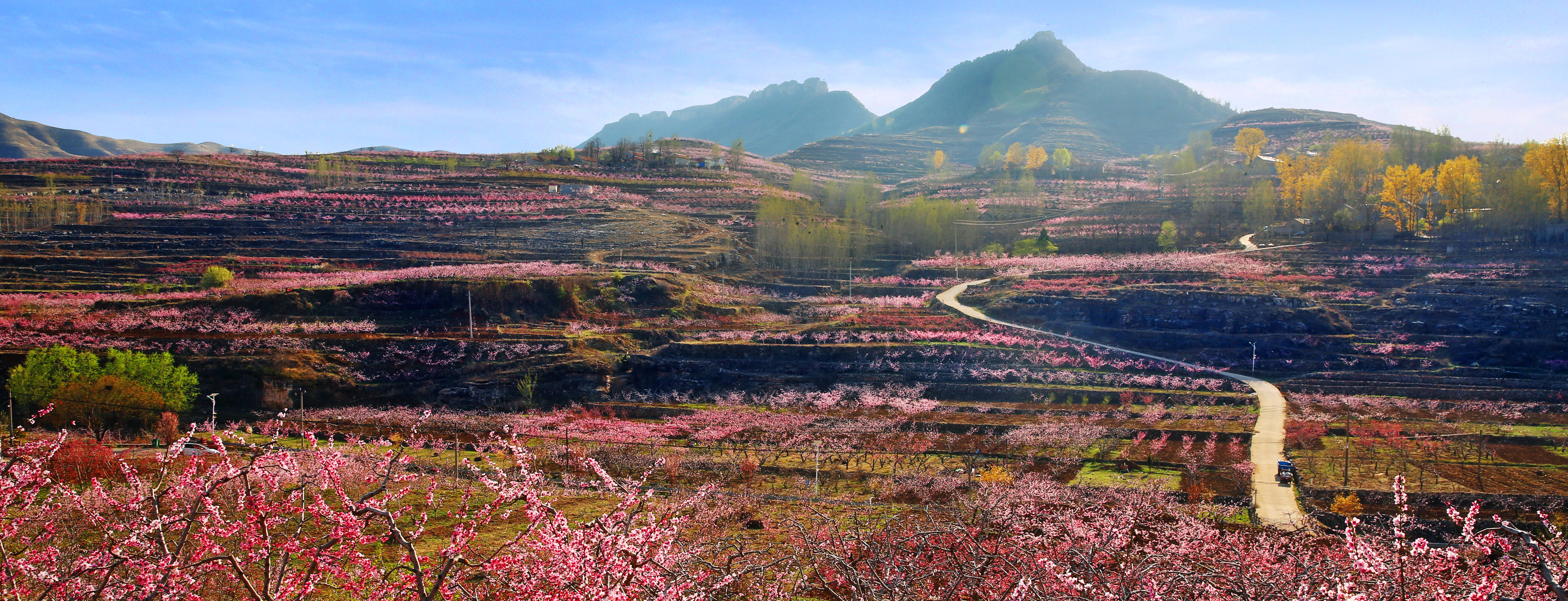 岱崮风景图片图片