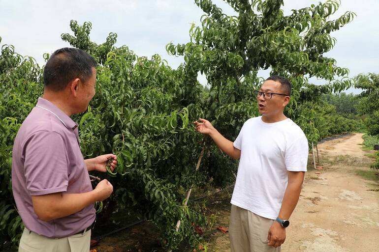 四雁工程平邑县仲村镇能云飞归雁新农人在家庭农场中大显身手