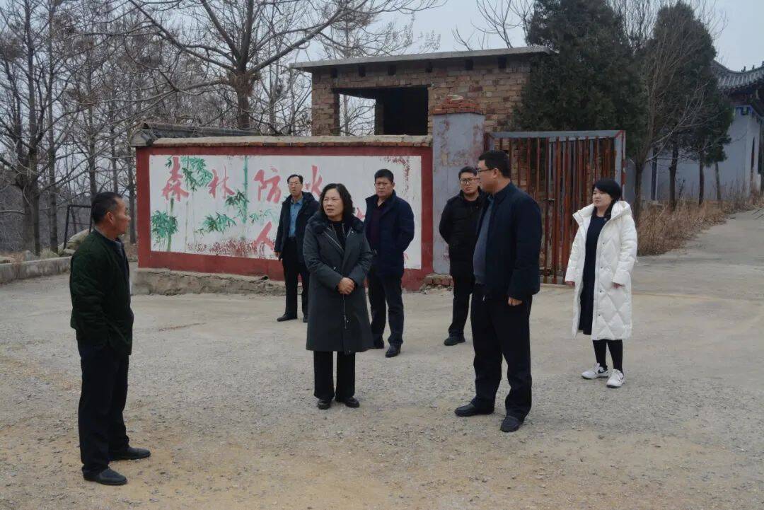 山东平邑张晓华到武台镇调研相关工作