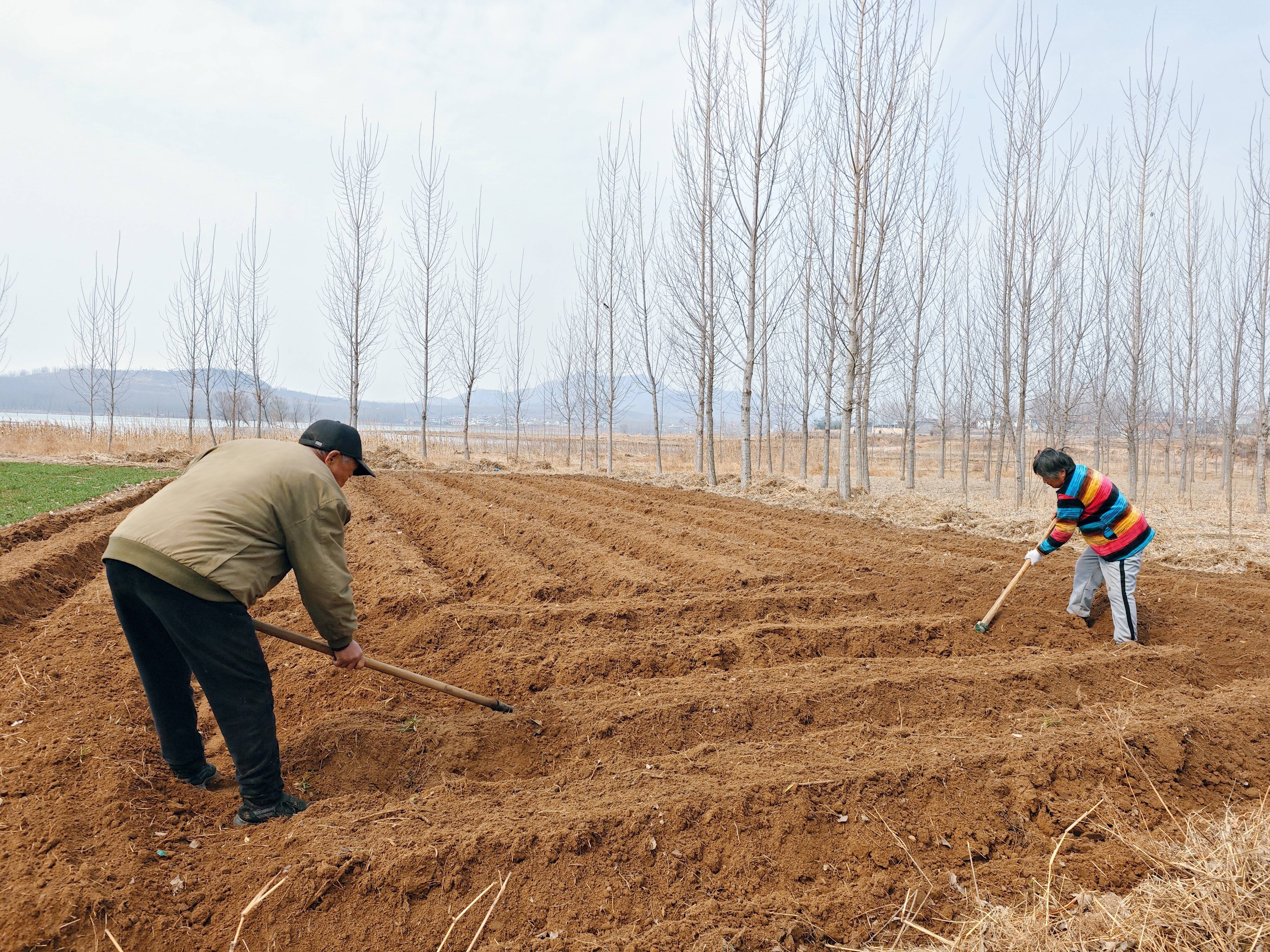 万象“耕”新不负春——多地春耕备耕一线扫描