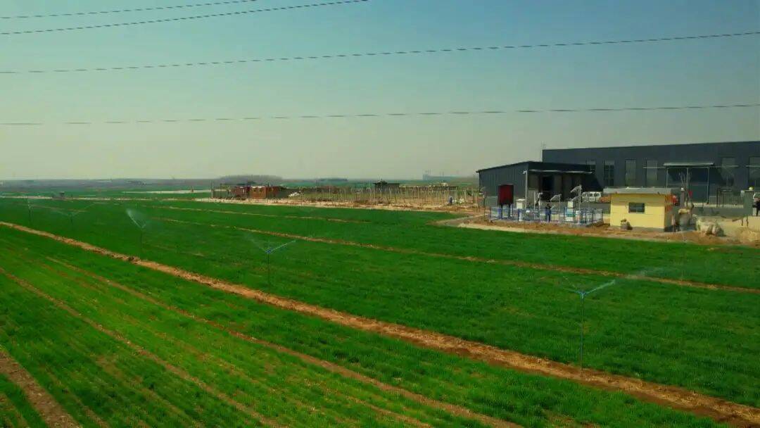 山东平邑柏林镇粮食单产提升行动推进会议召开