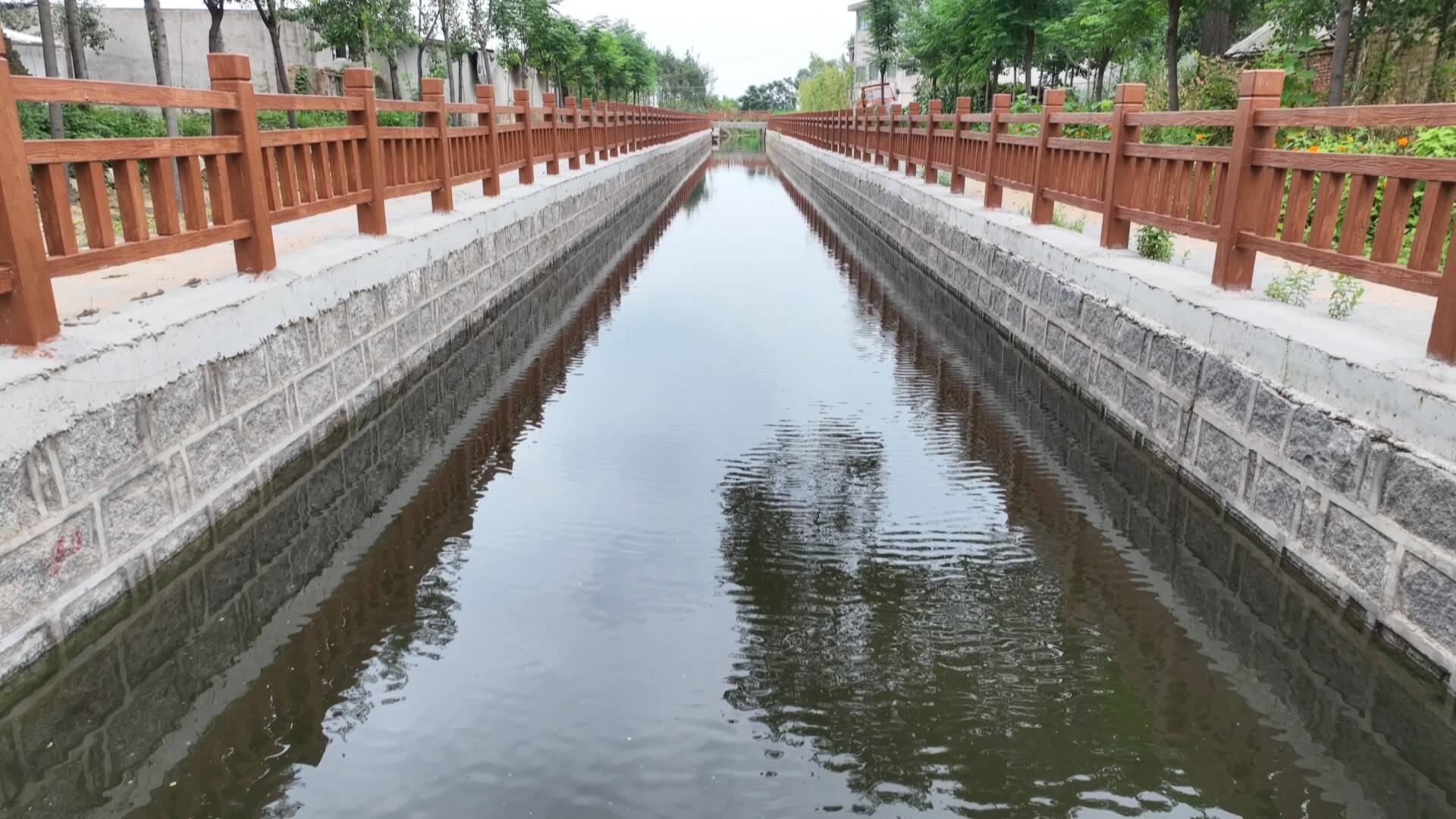 河东区太平街道罗家官庄村加快五大创建打造新时代美丽乡村