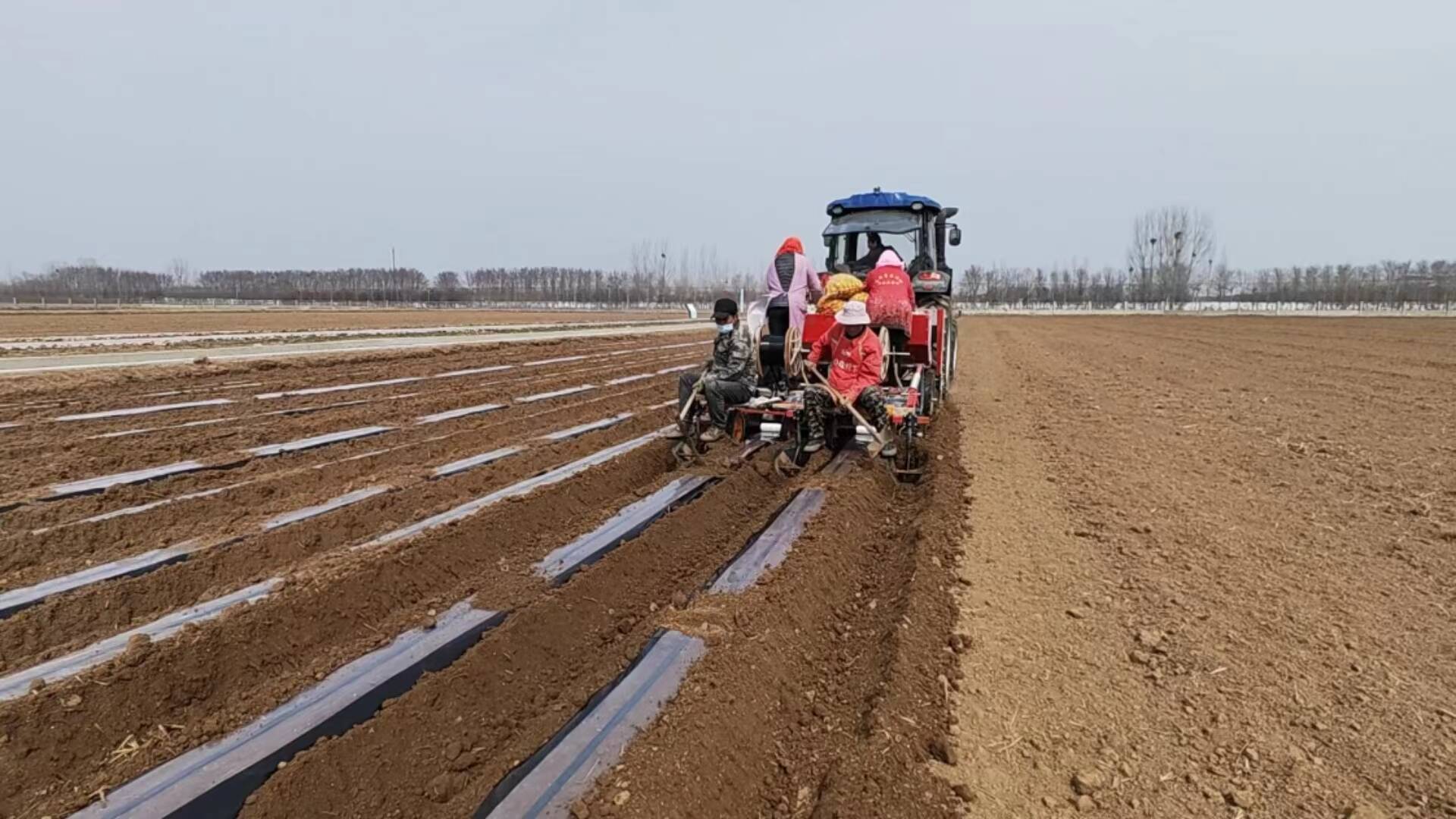 临沂河东马铃薯种植机械化奏响现代春耕曲