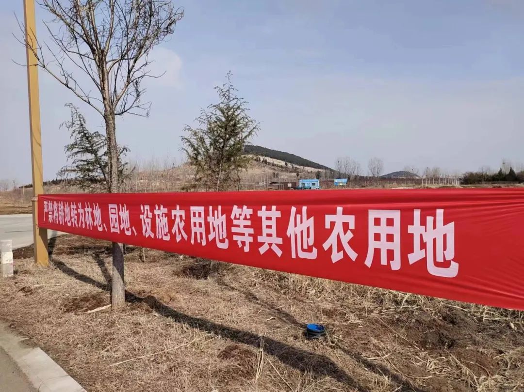 宁阳县华丰镇多措并举强宣传耕地保护筑防线