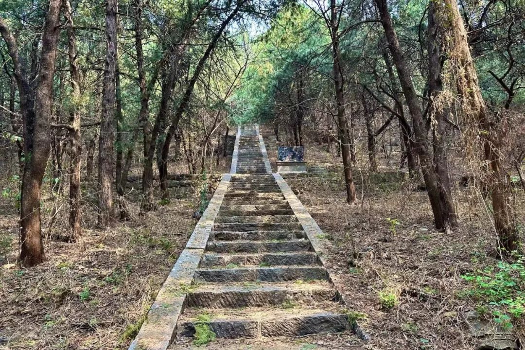 宁阳县华丰镇方寸之间,一览千年|今日走进:千年古刹灵山寺