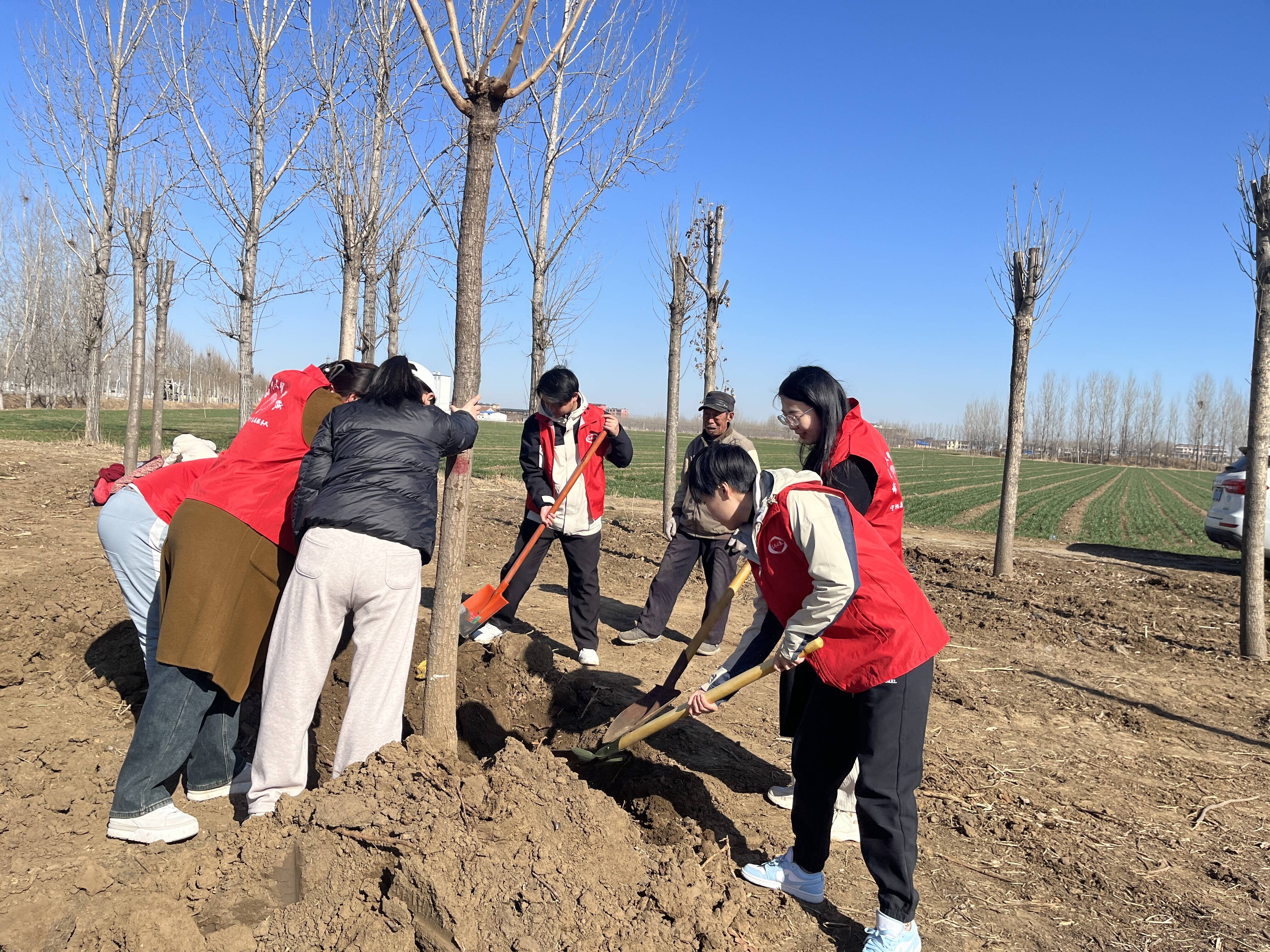 乡饮乡团委开展绿色黄河生态家园志愿植树活动