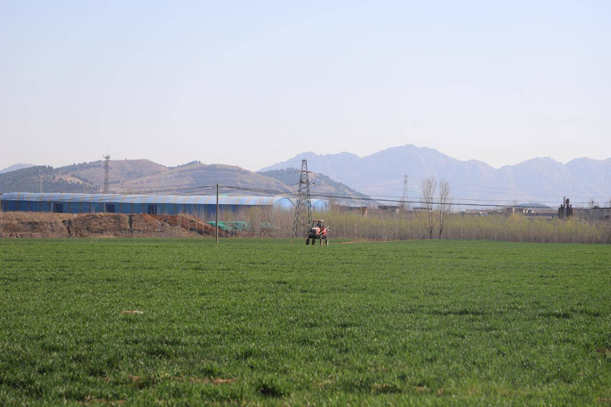 宁阳县华丰镇土地活起来钱包鼓起来