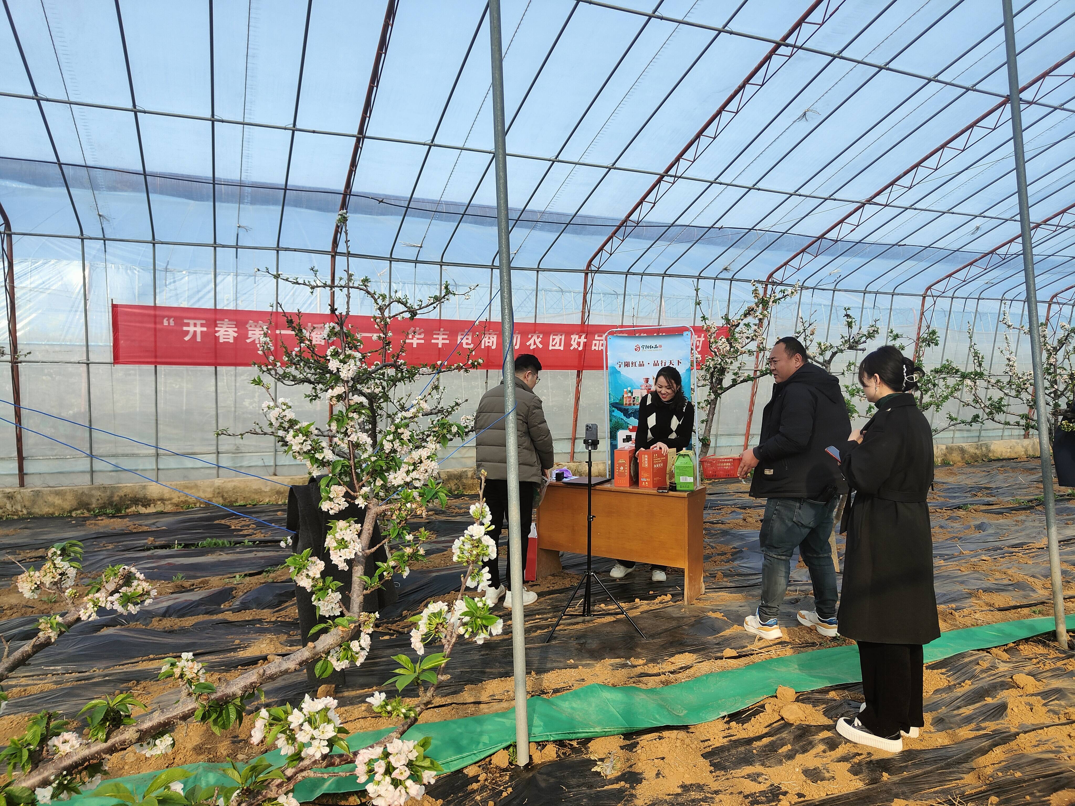 宁阳县华丰镇直播助农拓销路乡村振兴新征程