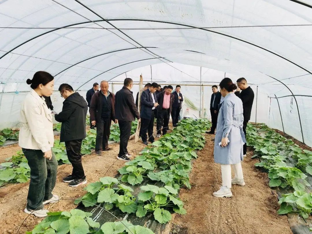 东平县接山镇大评比产业再提升