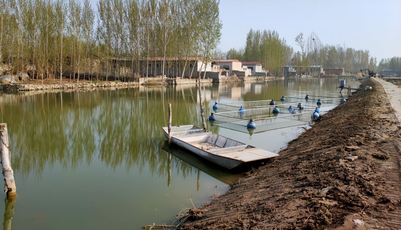 东平县东平街道:锦鲤养殖 激活"一池春水"