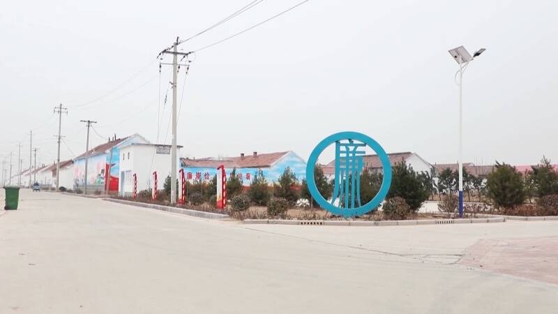 禹城市辛店镇提升乡村颜值擦亮振兴底色