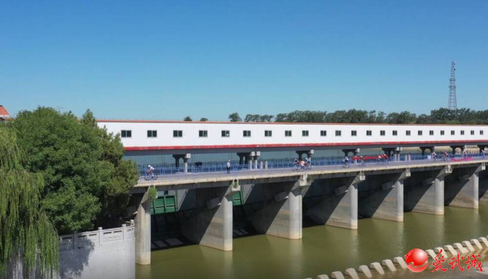 山东省第三届自行车城市联赛(德城站)圆满举行 武城县全力做好(武城赛