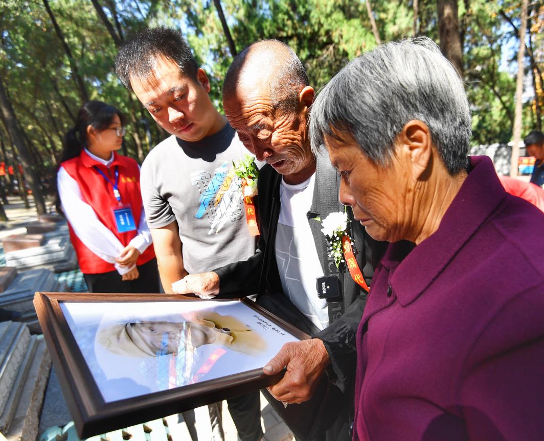 张一摄这样的场景,在济南历城革命烈士陵园同样上演.