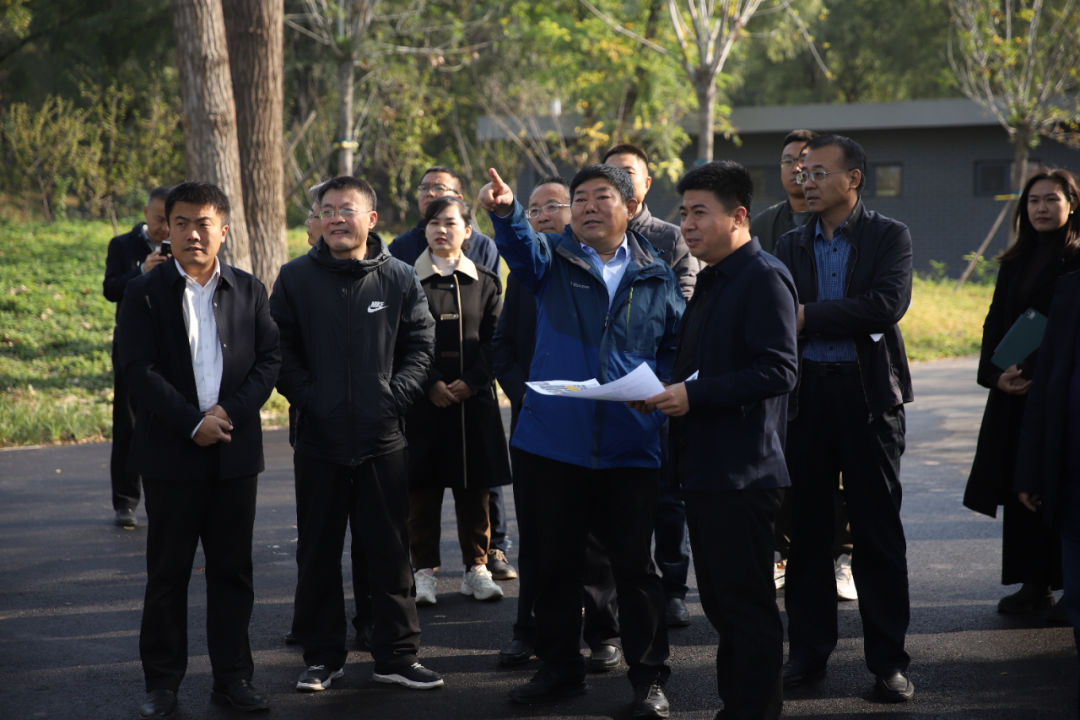樊廷雷来德城调研大运河指挥部城建重点项目并开展巡林工作