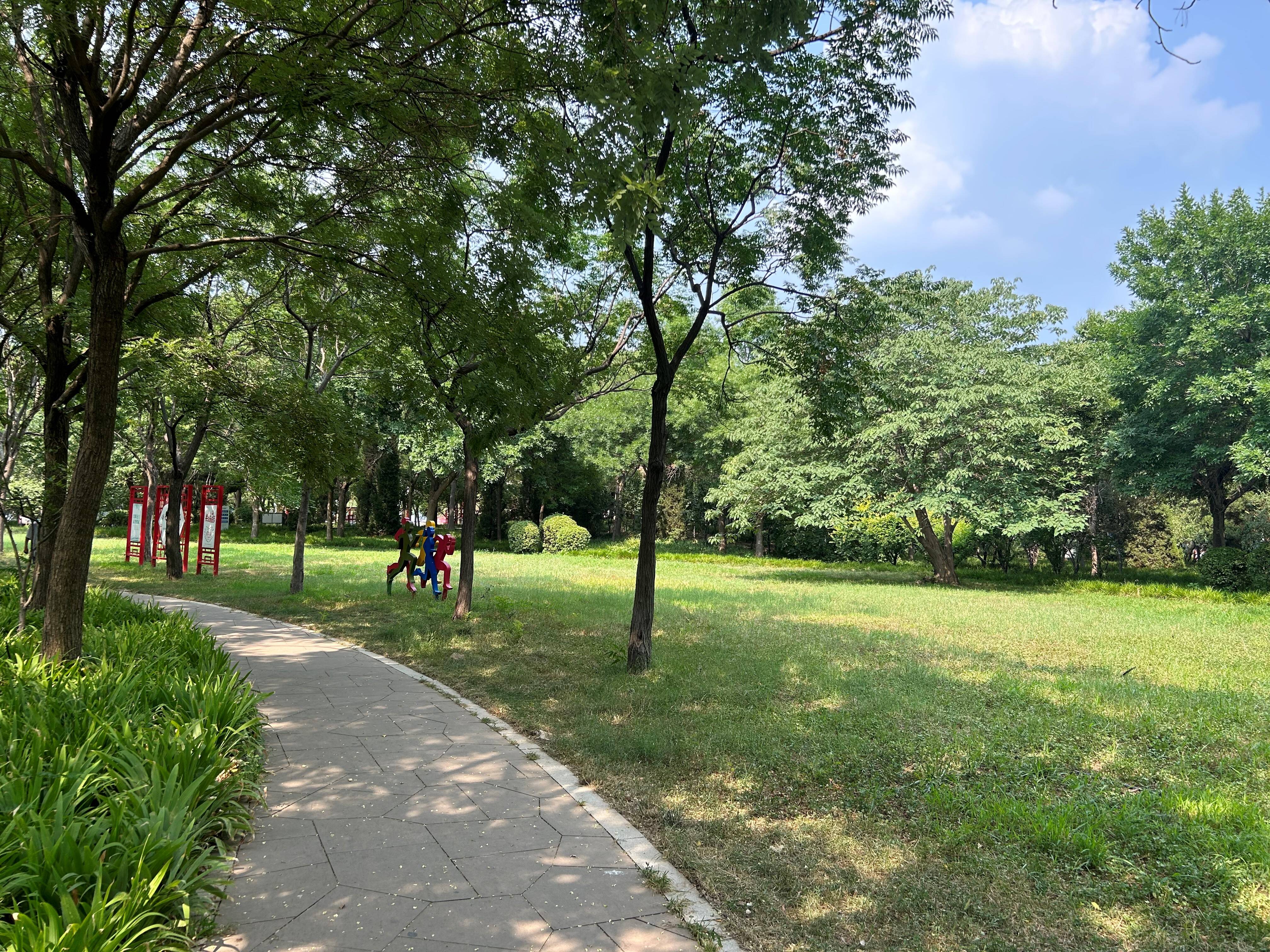 德州市德城区城市管理局园林绿化服务中心拆围透绿推进城市公园绿地