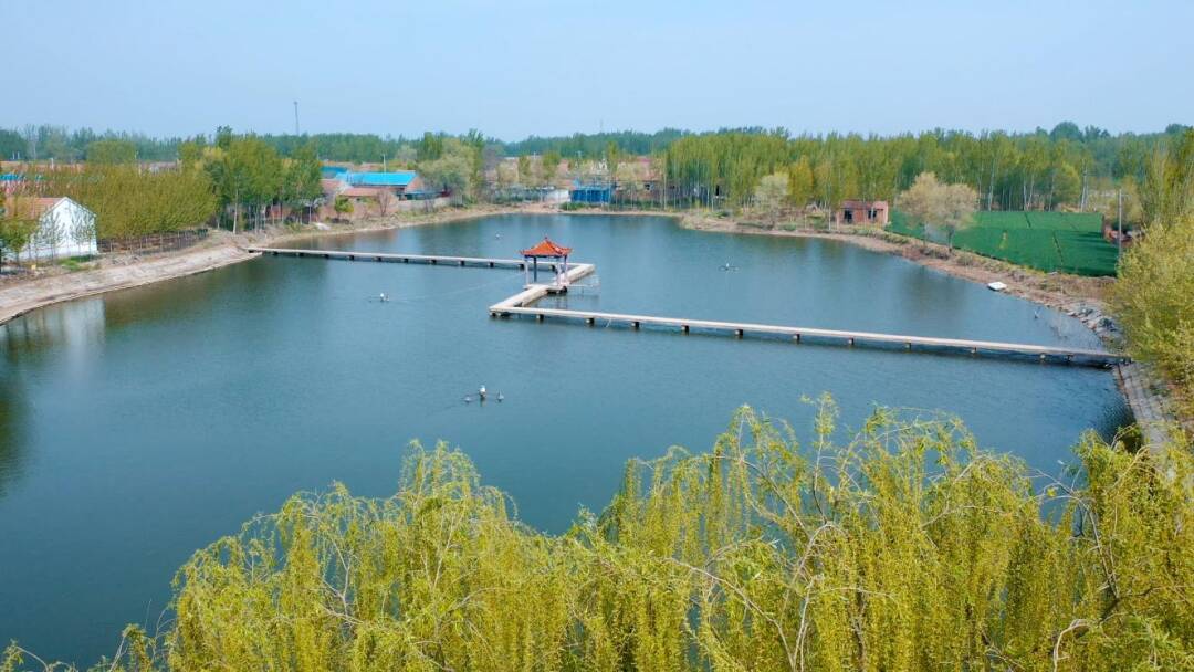 激活发展动能强化服务能力临邑县兴隆镇苗屯村探索中心村建设新路径