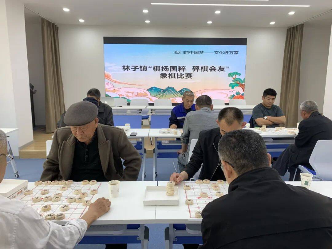 临邑县林子镇文化站组织开展棋扬国粹弈棋会友象棋比赛