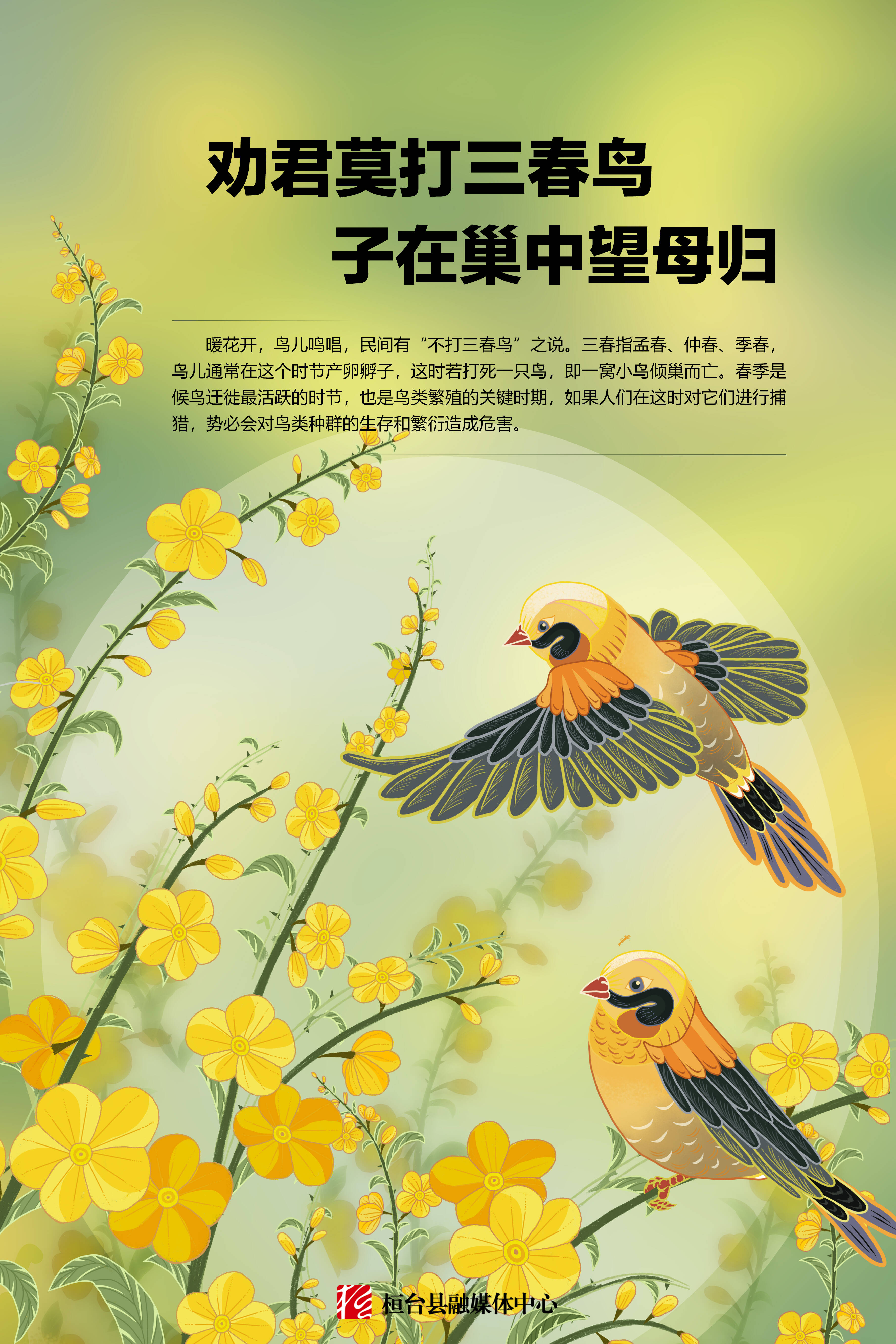 劝君莫打三春鸟 子在巢中望母归