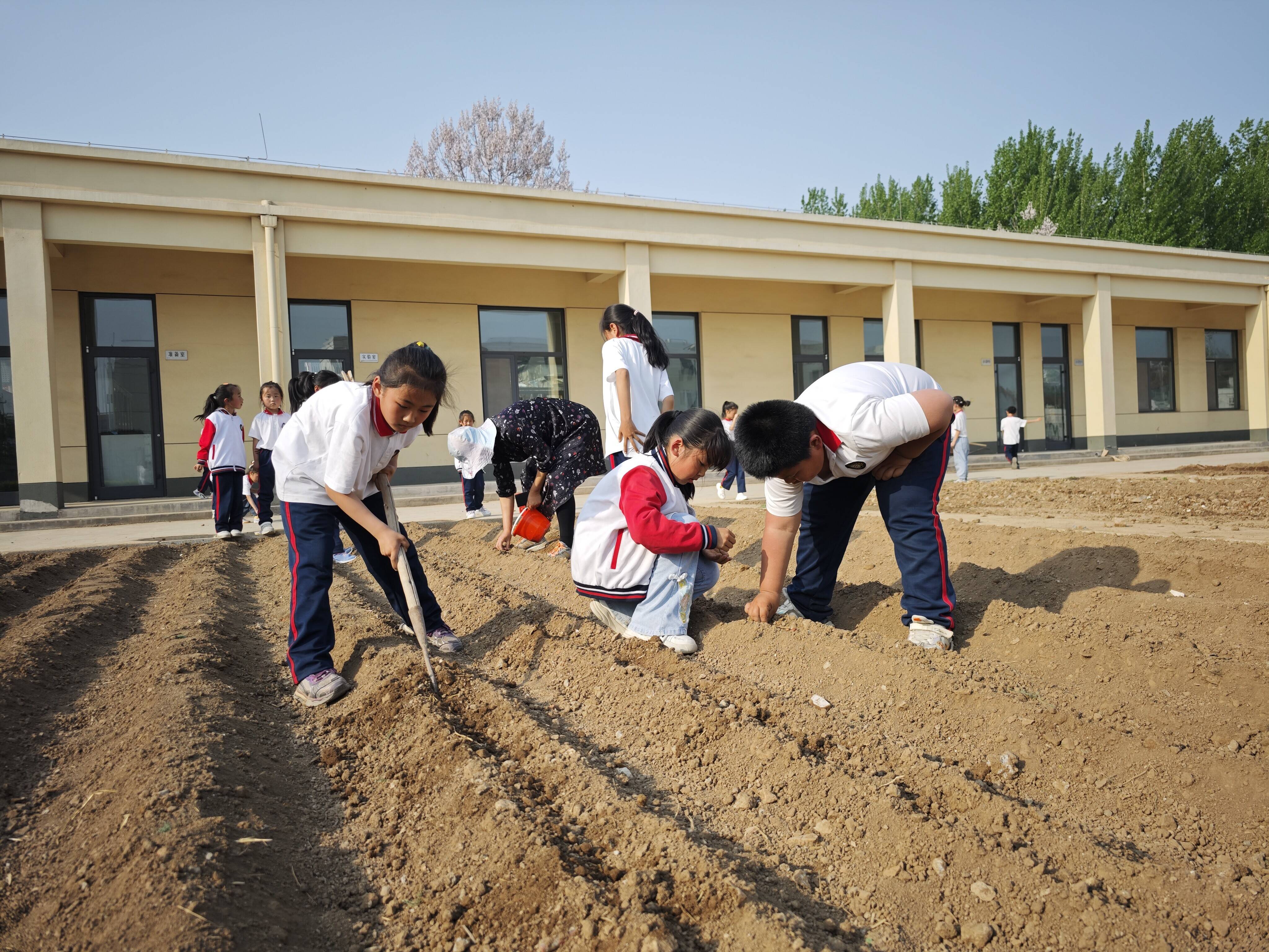 小学生实践活动美篇
