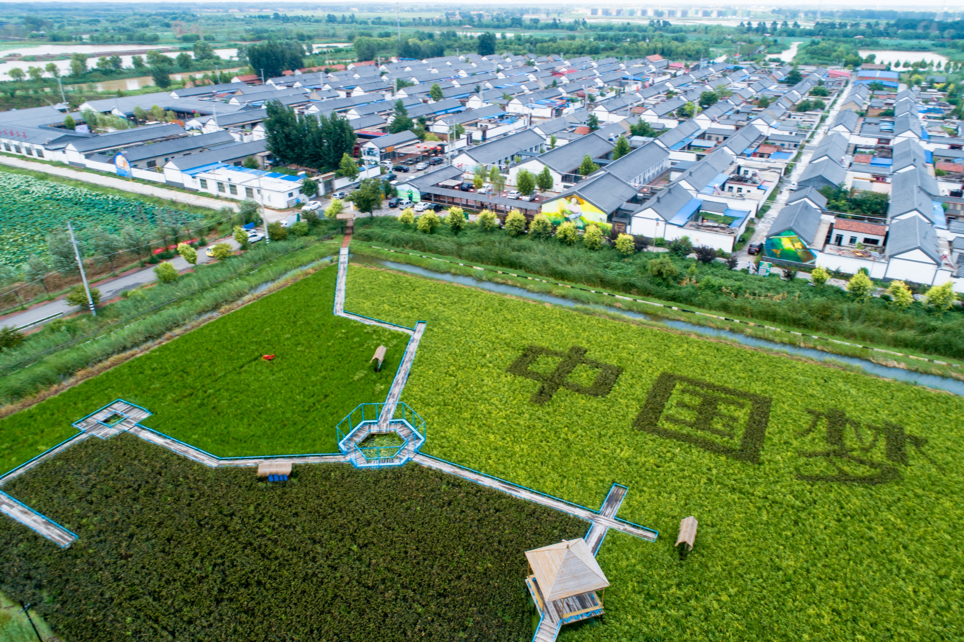 高青县"北国夏韵消暑乡村游"入选农业农村部2025中国美丽乡村休闲旅游