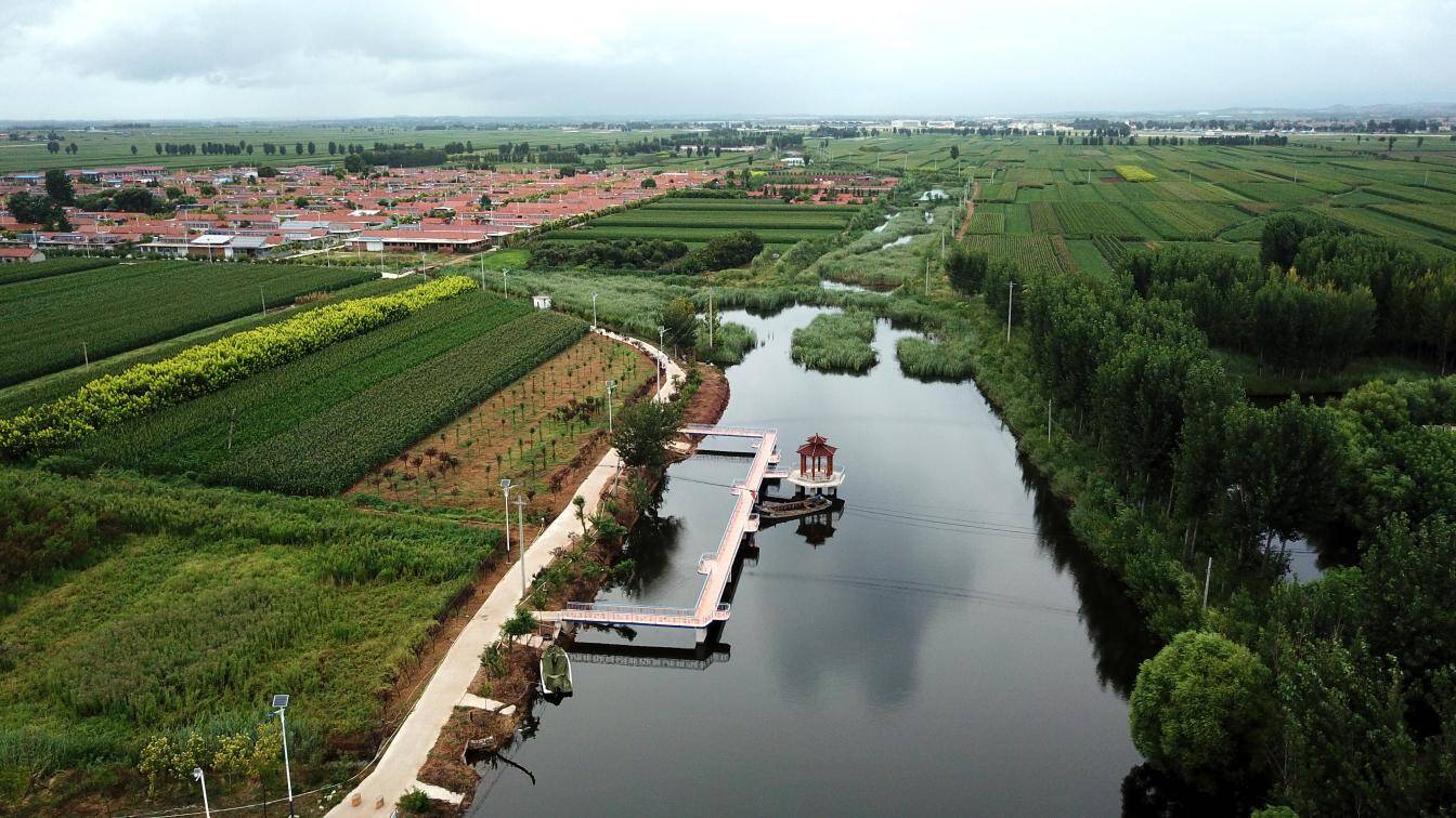 莱阳市冯格庄街道青埠屯村加强乡风文明建设树立良好文明形象
