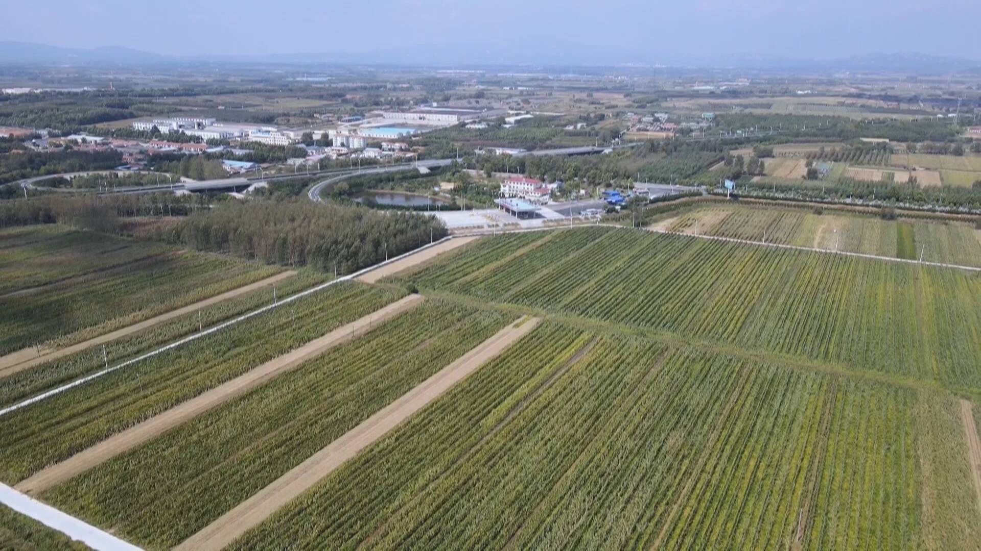 威海市文登区泽头镇砥砺奋进新征程争先实干谱新篇