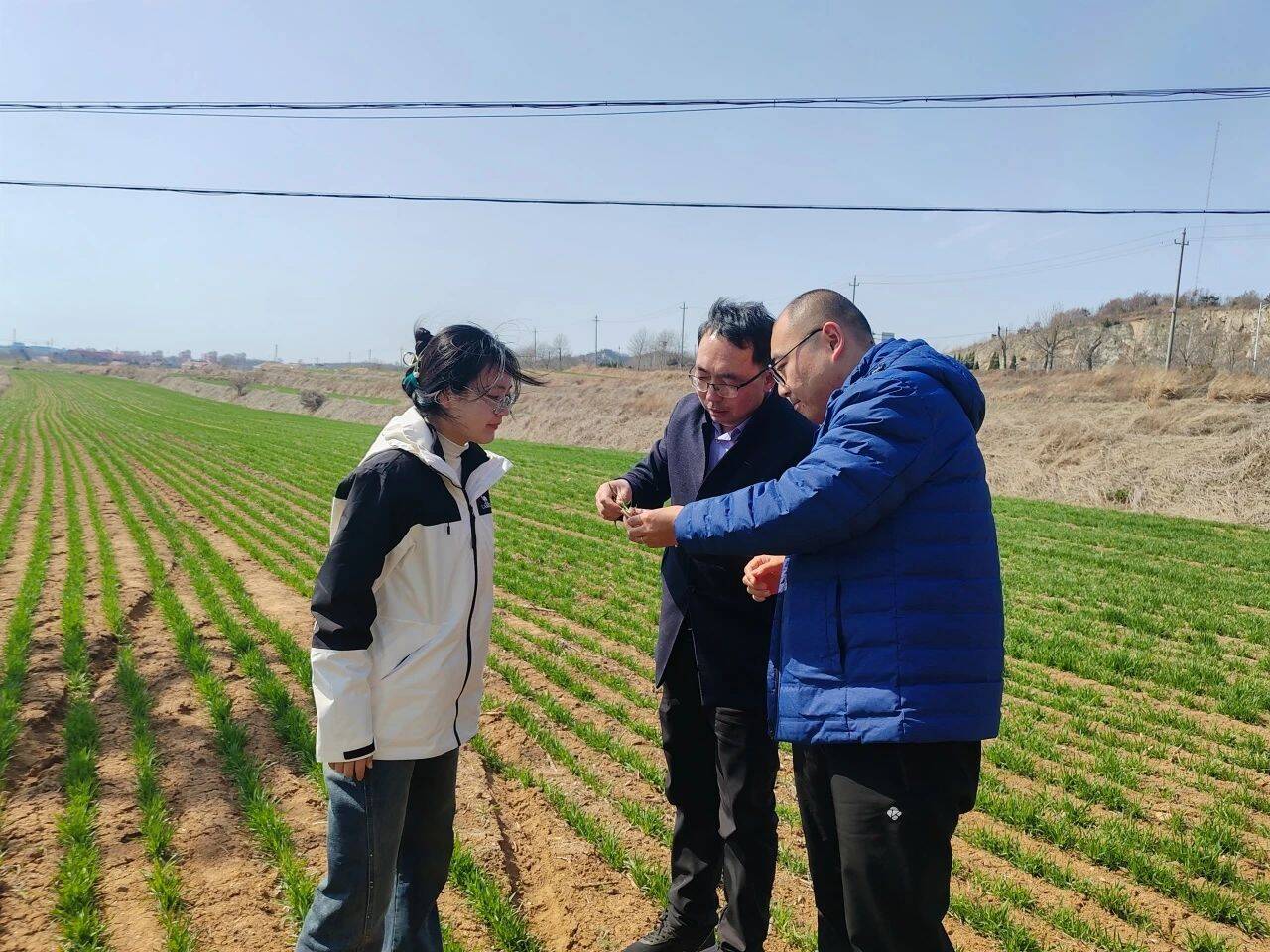 荣成市虎山镇春耕春管提单产抢抓农时开新局