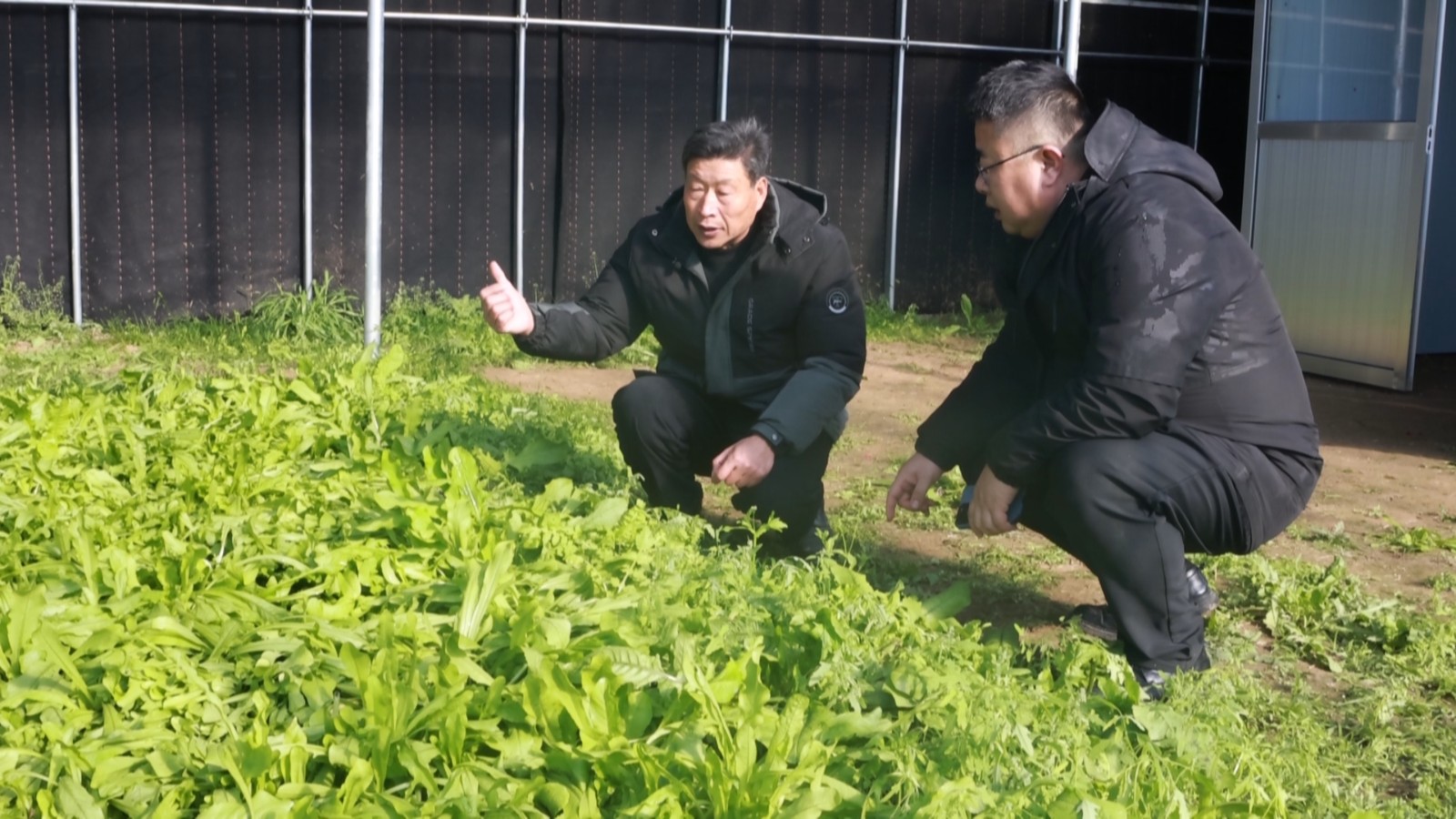 市中街道年度观察20260122_153236