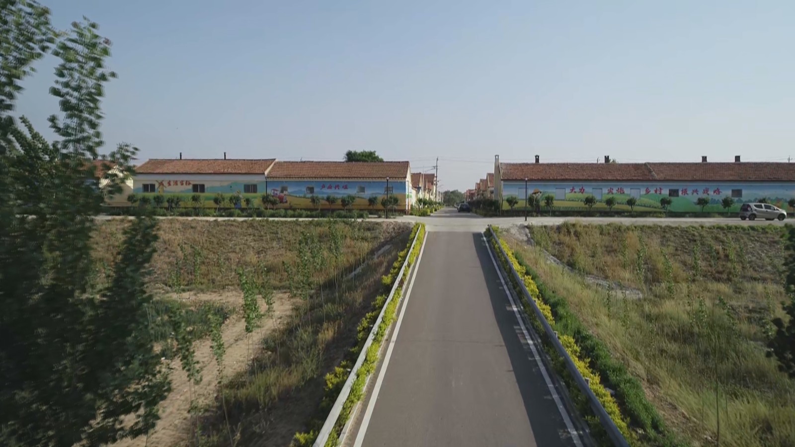 市中街道年度观察20260122_153729
