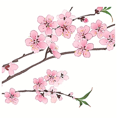 圖①