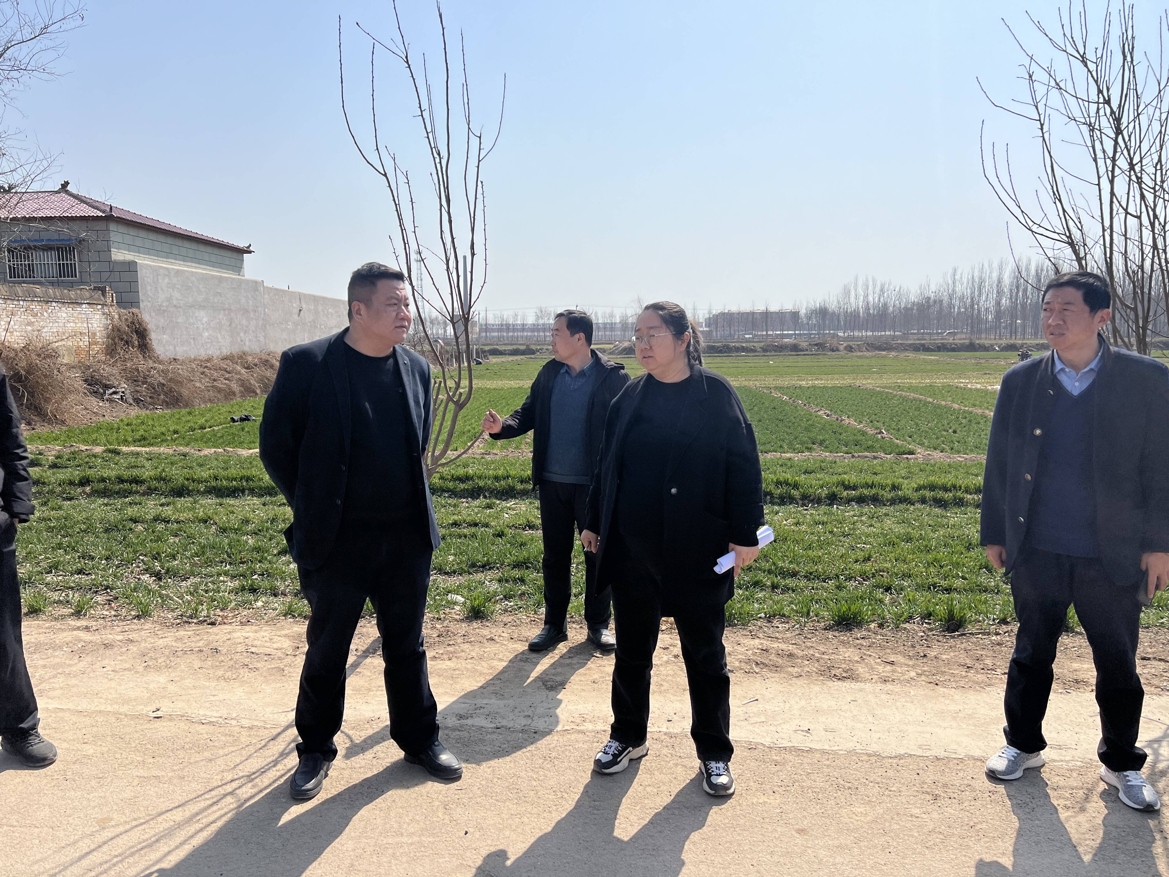 评比验收鼓干劲人居环境再提升王庄集镇开展人居环境整治检查验收活动