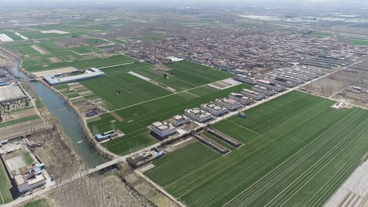 新泰市果都镇:"一村一块田" 春管更高效 