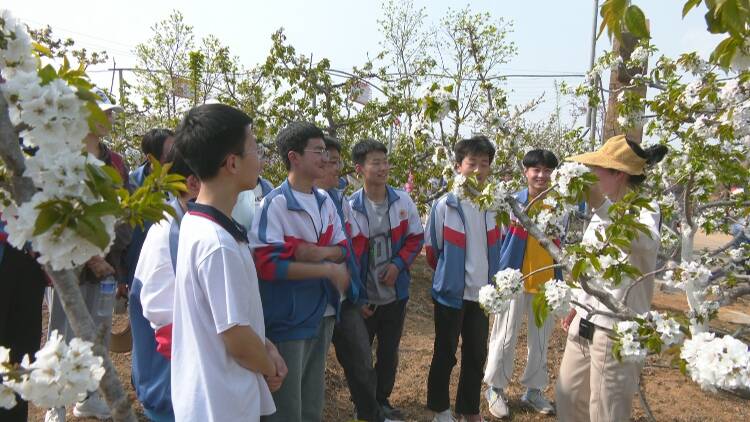 新泰市乐享研学亲近自然