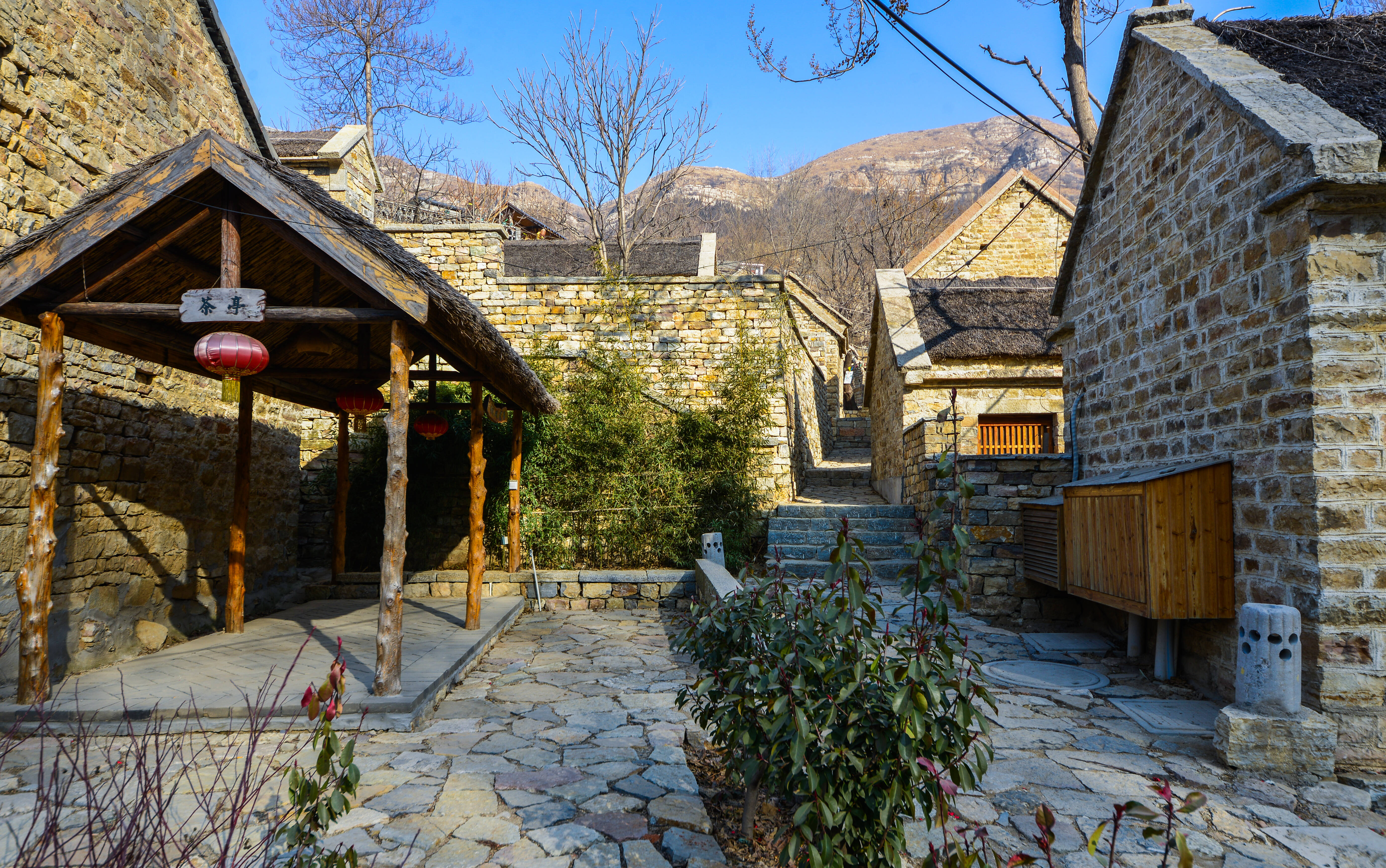 红樱桃,正青春!