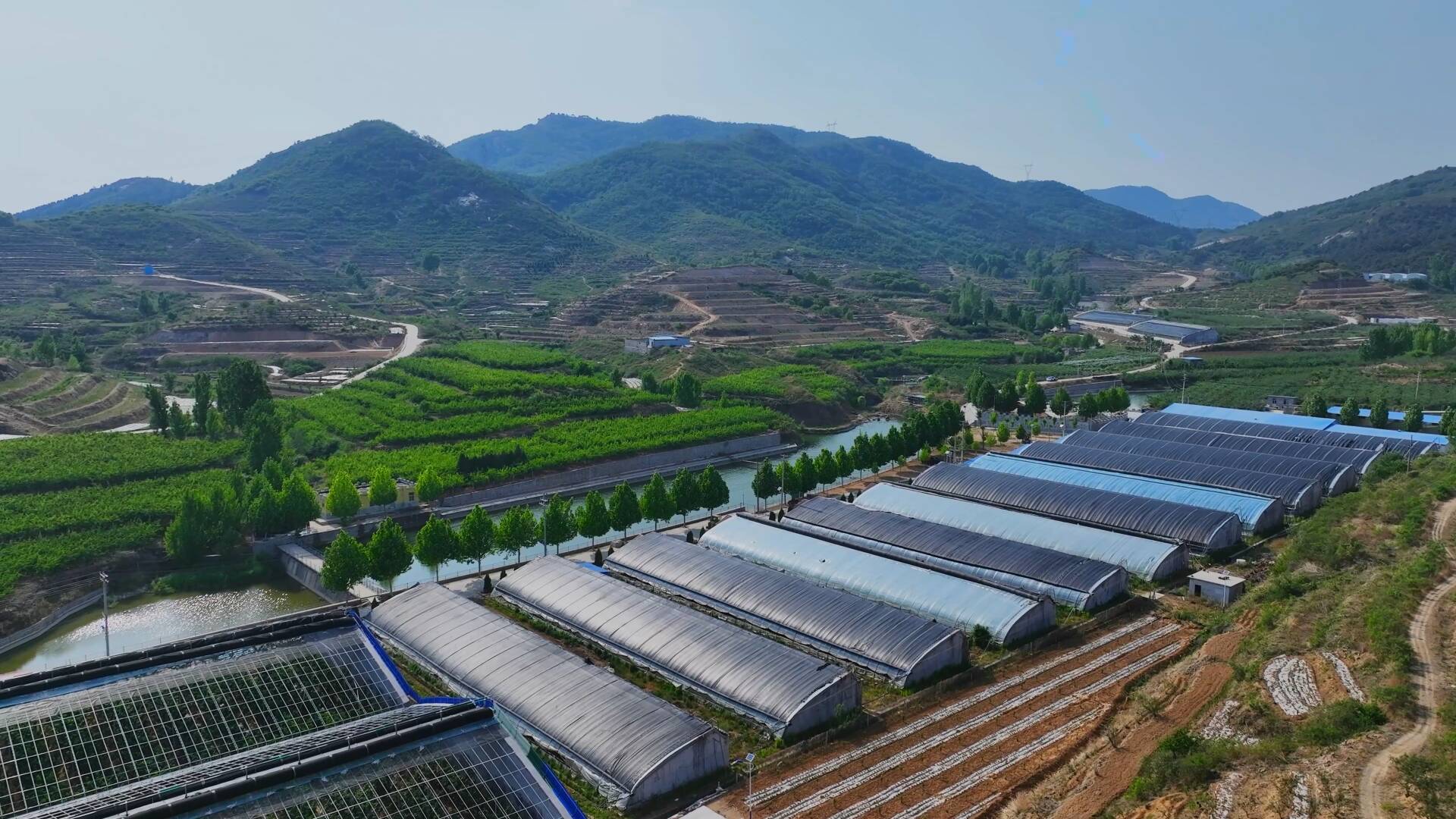 红樱桃,正青春!