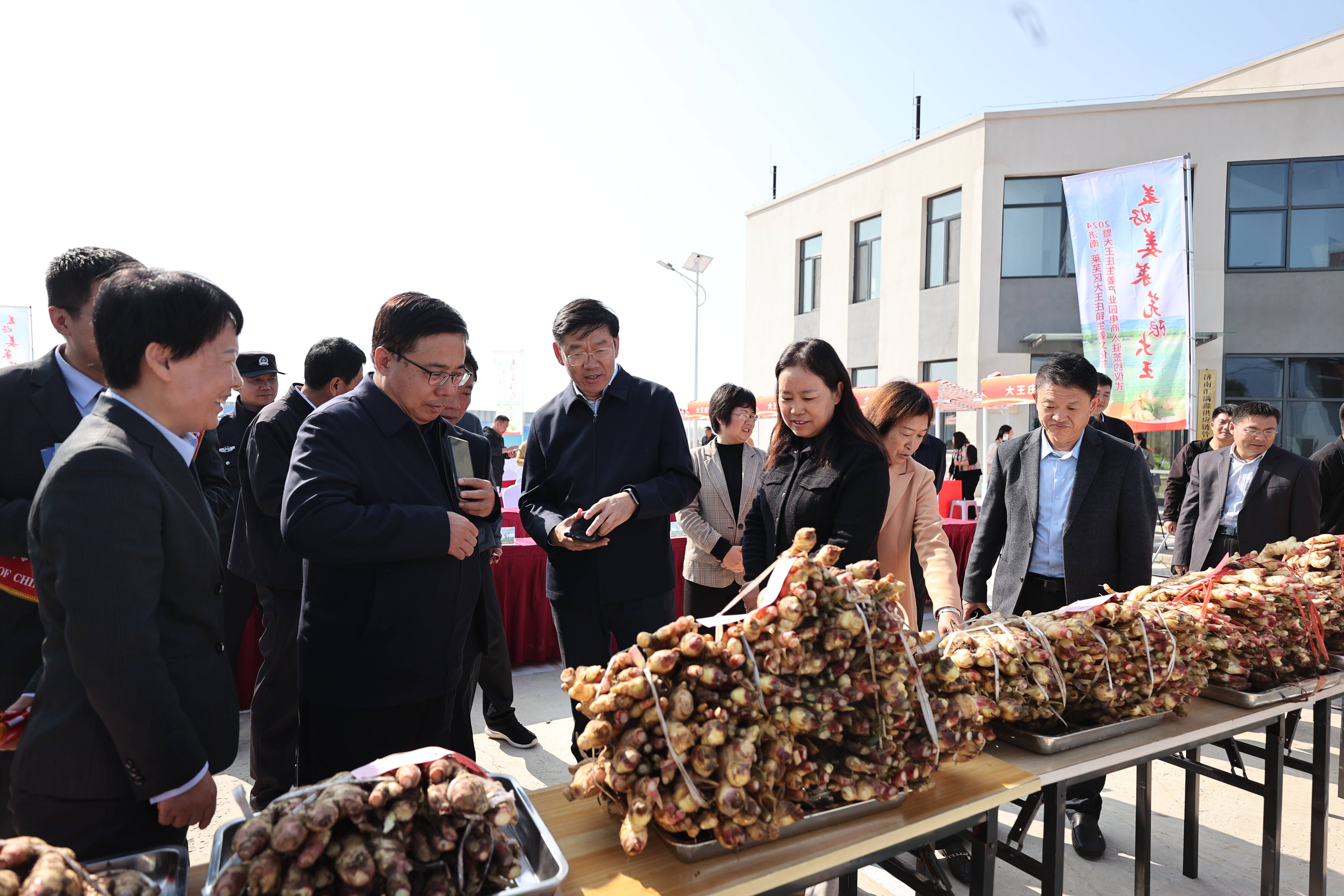 "美好姜莱 芜限大王"2024济南67莱芜区大王庄镇生姜文化节暨大王庄