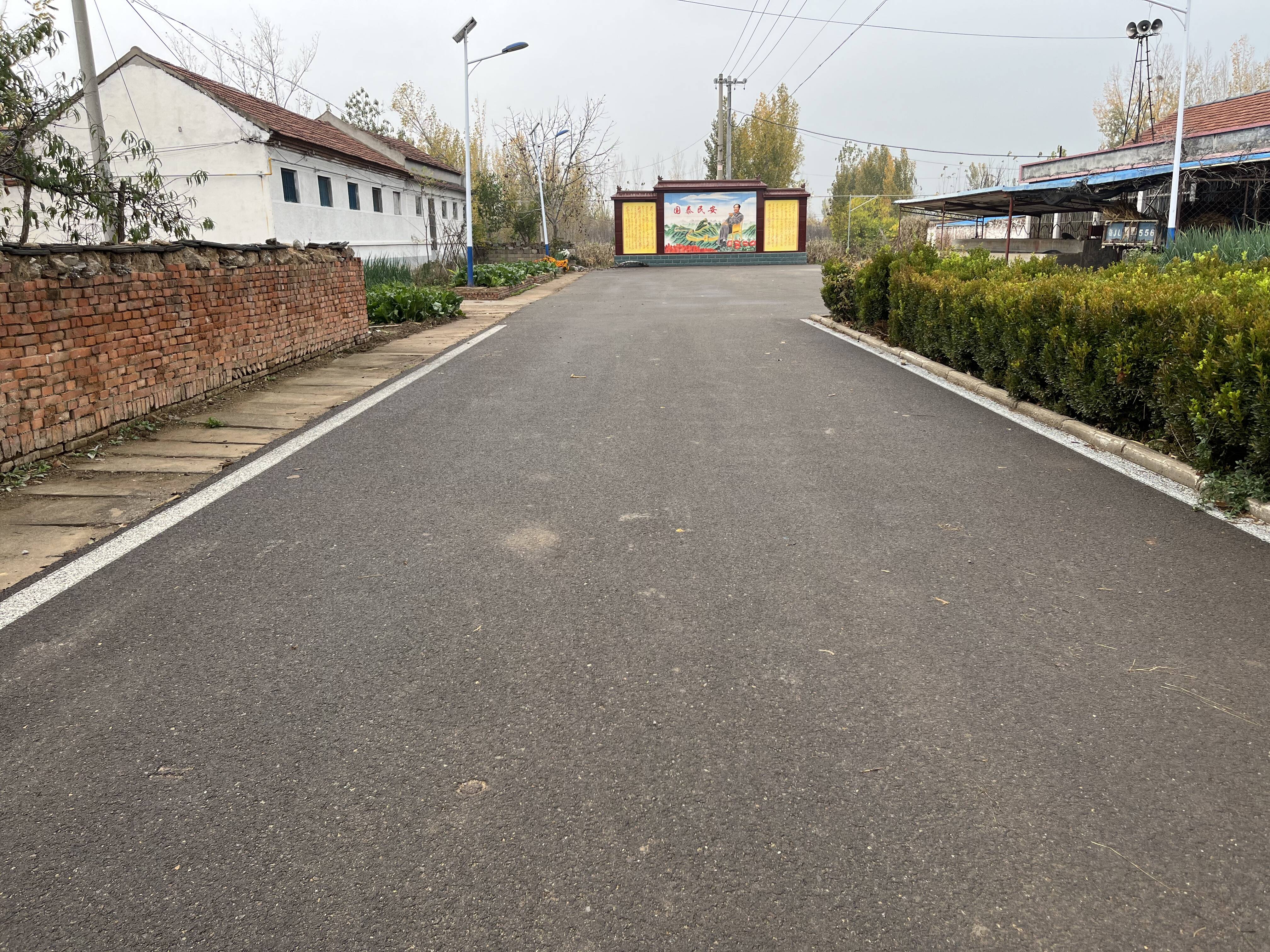 济南市莱芜区杨庄镇开展人居环境观摩督查 助力和美乡村建设