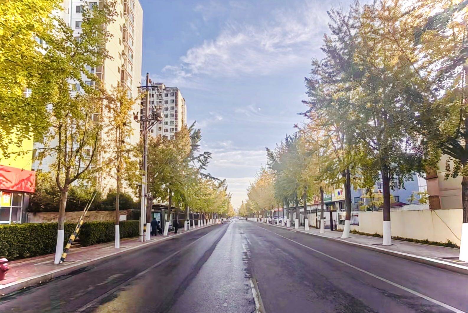 日照市东港区扛牢主城担当助力国家级园林城市创建