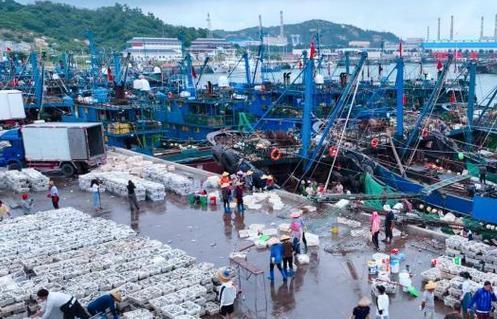 遇見福建：開漁歸來 碼頭人歡魚滿艙