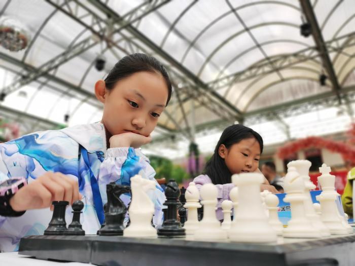 青海省象棋、圍棋錦標賽及國際象棋少年個人冠軍賽開賽