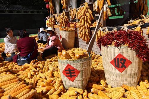 广西积极对接RCEP新规则 农产品进出口贸易额稳步提升